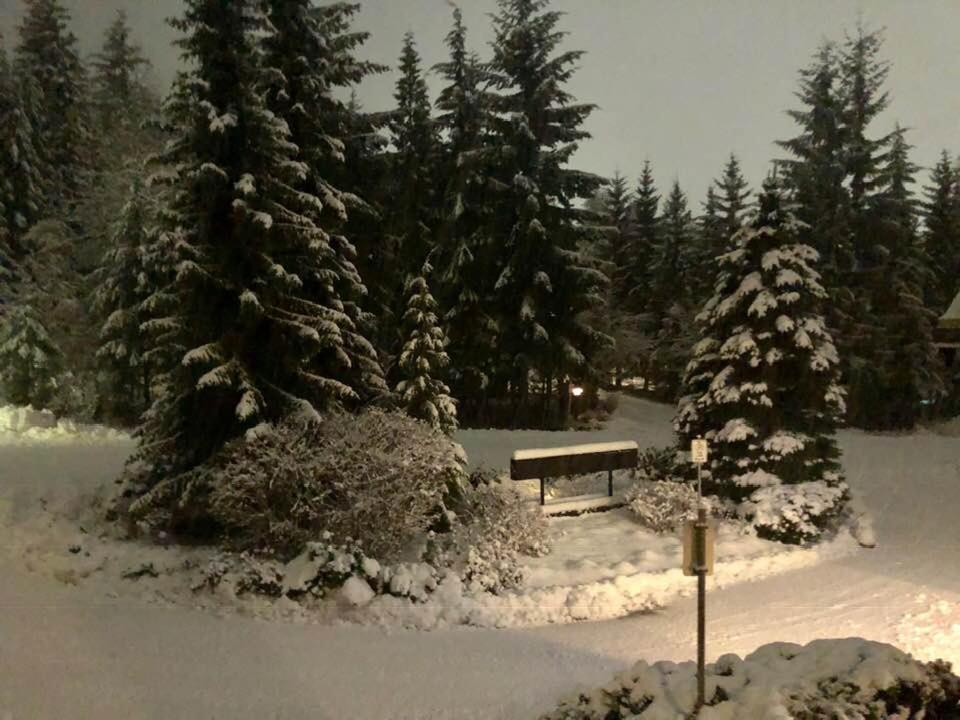 Powderhorn By Whistler Blackcomb Vacation Rentals Luaran gambar